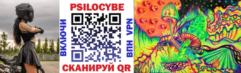 Псилоцибиновые грибы Psilocybe  Купить закладки  Стародуб 